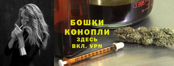 гидра Ельня