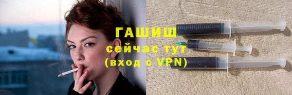 гидра Ельня