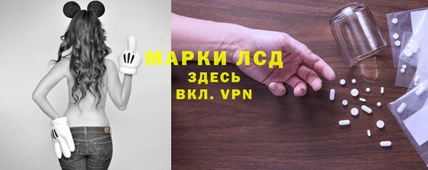 прущие грибы Заволжск