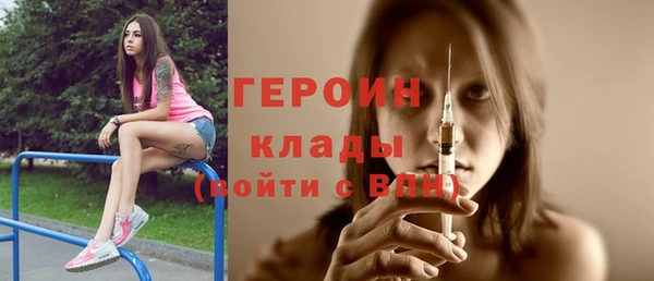 гидра Ельня