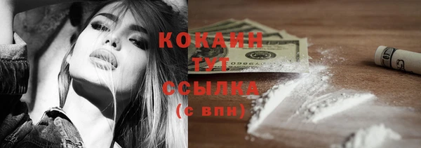 гидра Ельня