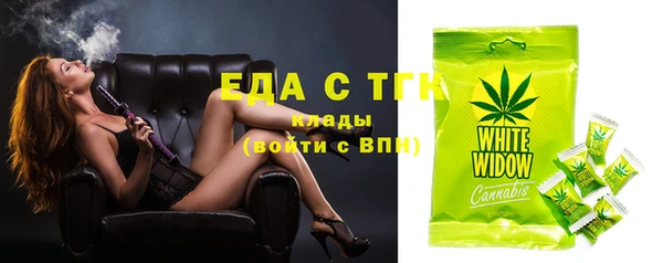 гидра Ельня