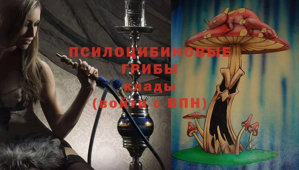 гидра Ельня