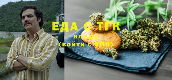 гидра Ельня