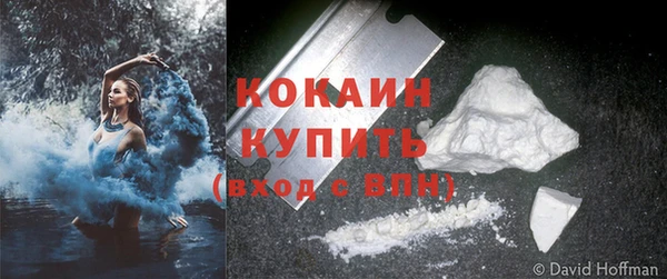 гидра Ельня