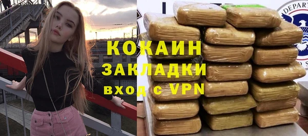 гидра Ельня