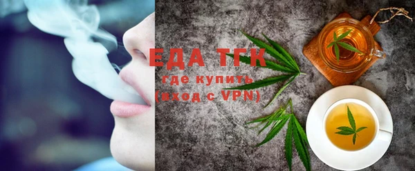 гидра Ельня