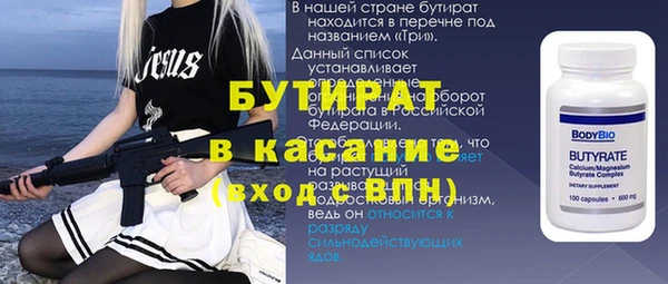гидра Ельня