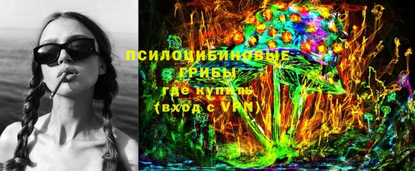 гидра Ельня