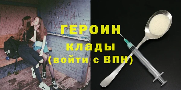 гидра Ельня
