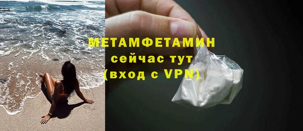 гидра Ельня