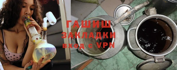 гидра Ельня