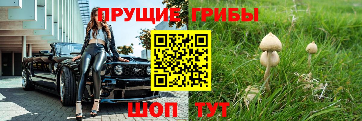 Галлюциногенные грибы Cubensis Махачкала