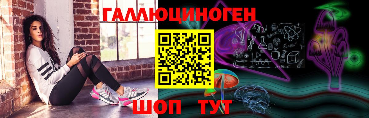 Галлюциногенные грибы GOLDEN TEACHER  Псилоцибиновые грибы MAGIC MUSHROOMS  Вход с VPN  Махачкала 