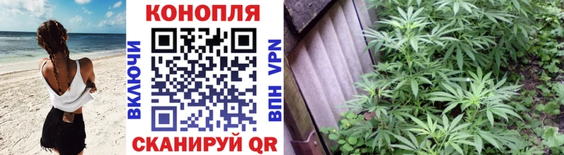 Марихуана Amnesia  где купить наркоту  Махачкала 